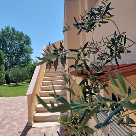 Novouredeni Apartman Marko Mundanije Dış mekan fotoğraf