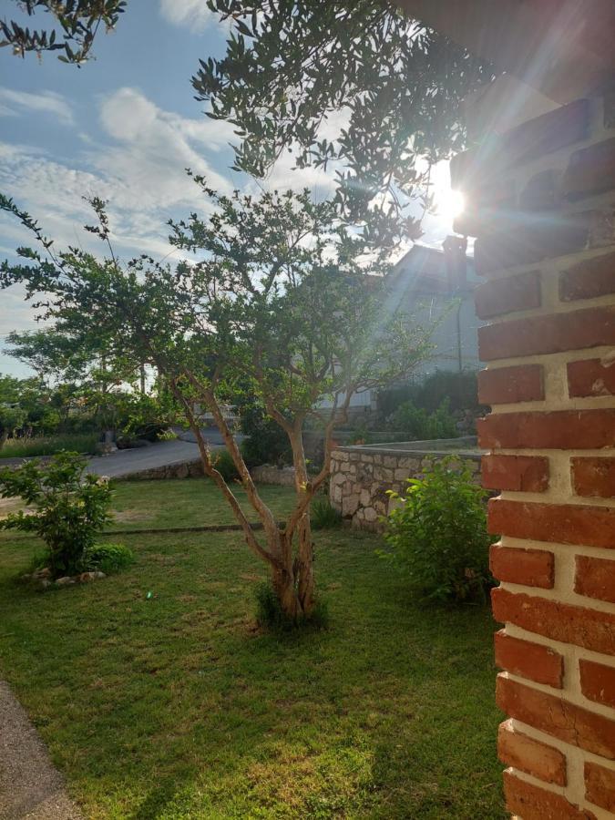 Novouredeni Apartman Marko Mundanije Dış mekan fotoğraf