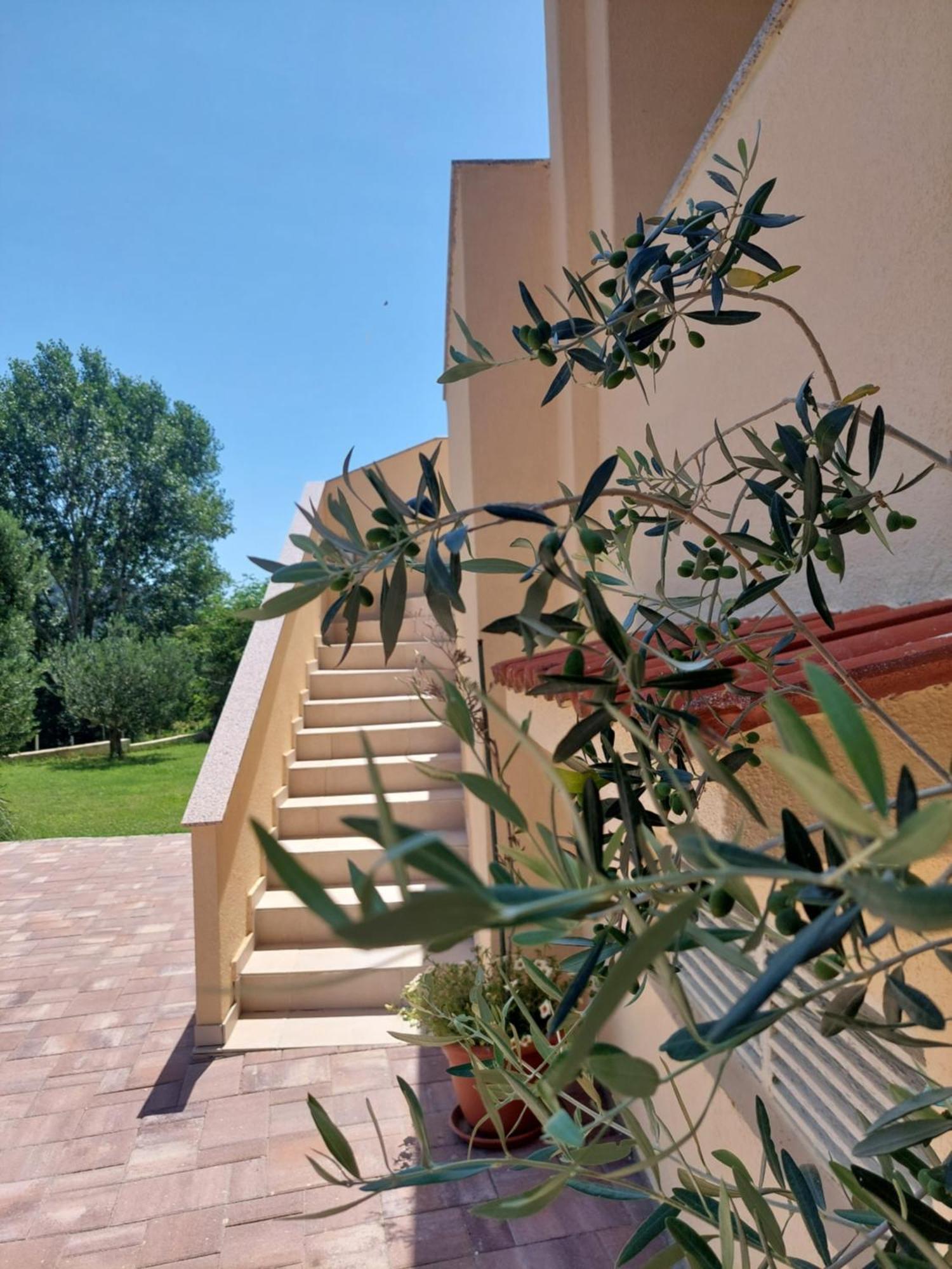 Novouredeni Apartman Marko Mundanije Dış mekan fotoğraf
